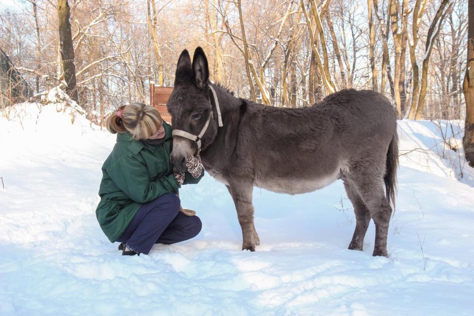 Žiema – tikras džiaugsmas gyvūnams