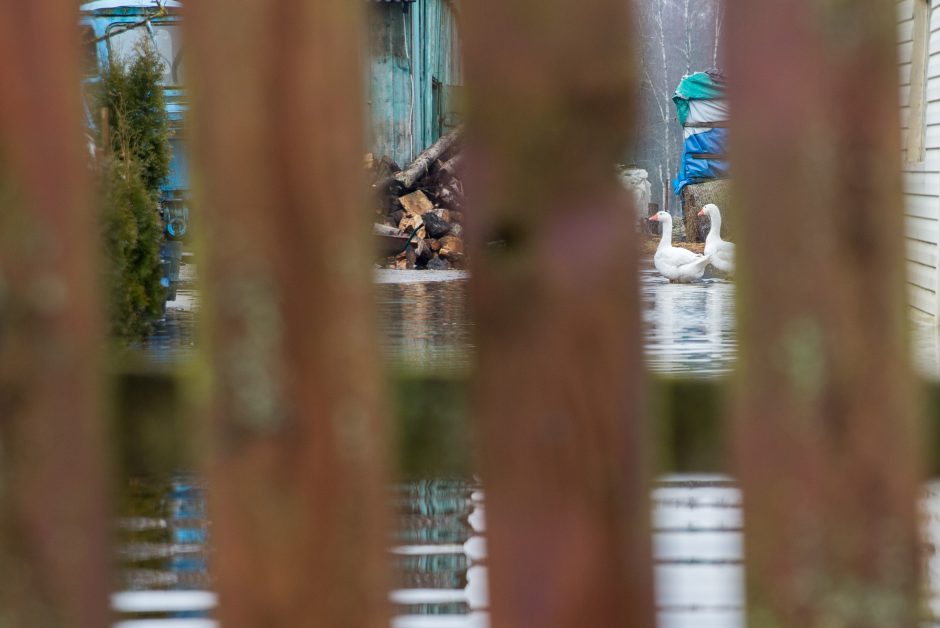 Po lietuviškąją Veneciją – baidare