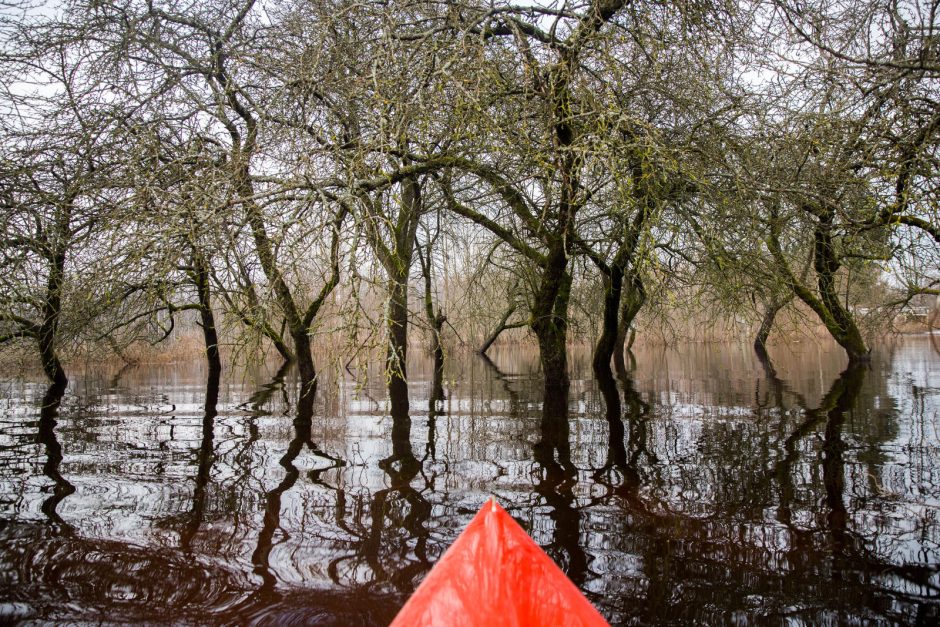 Po lietuviškąją Veneciją – baidare