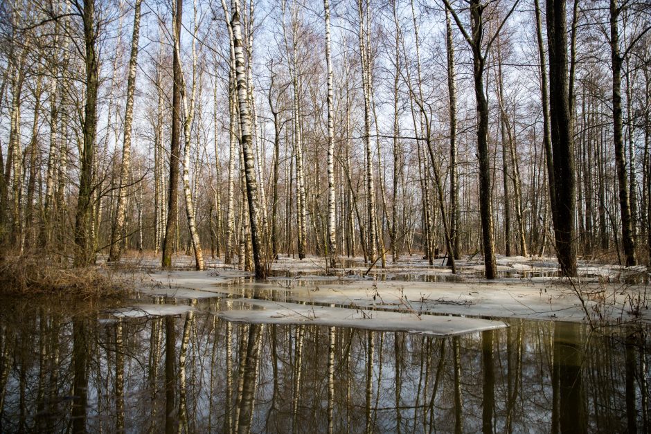 Po lietuviškąją Veneciją – baidare