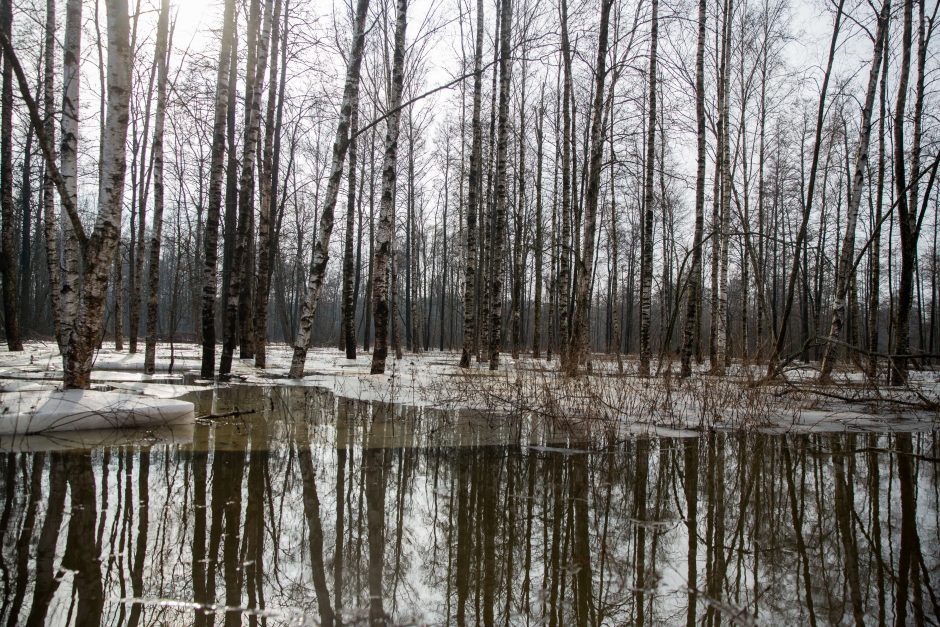 Po lietuviškąją Veneciją – baidare