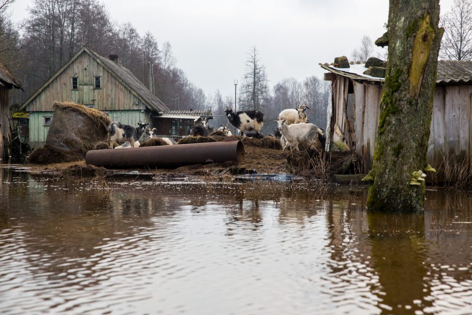 Po lietuviškąją Veneciją – baidare