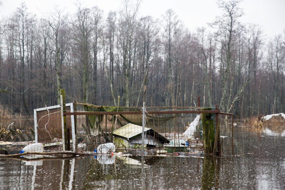 Po lietuviškąją Veneciją – baidare