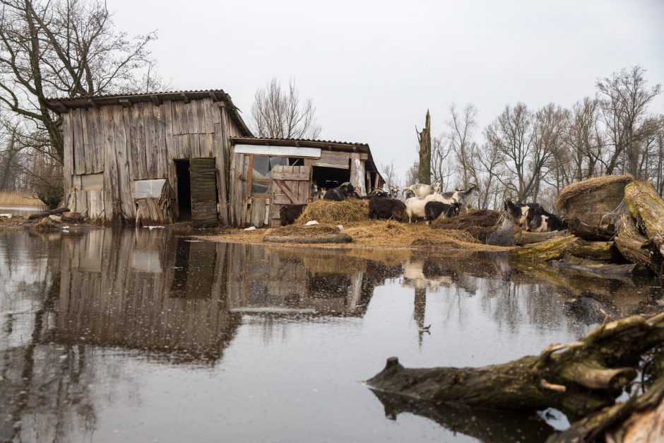 Po lietuviškąją Veneciją – baidare