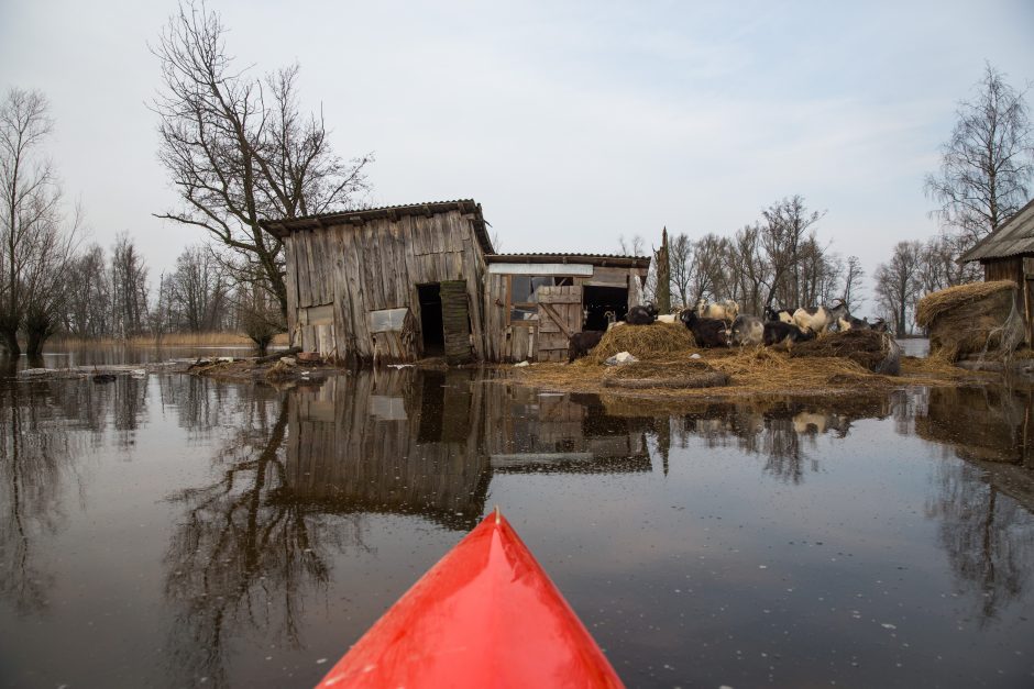 Po lietuviškąją Veneciją – baidare