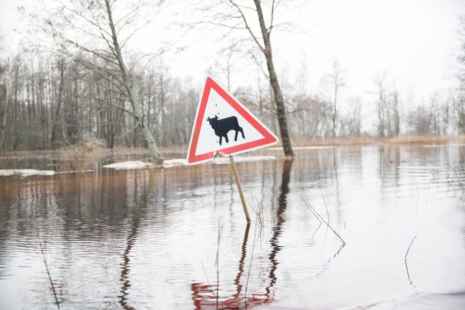 Po lietuviškąją Veneciją – baidare