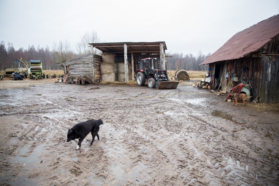 Po lietuviškąją Veneciją – baidare