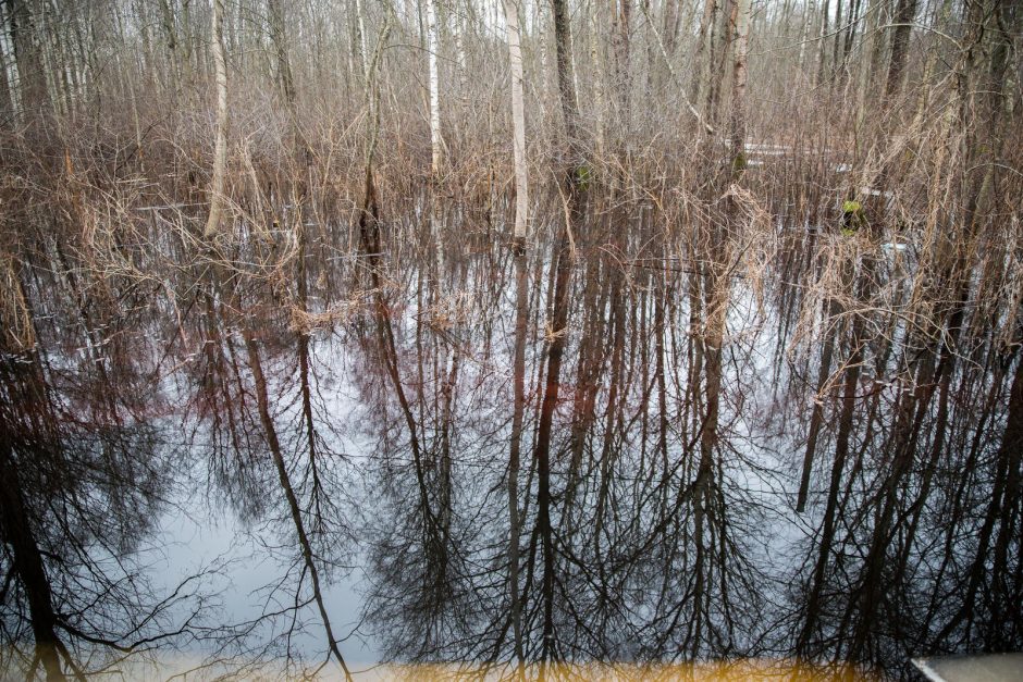 Po lietuviškąją Veneciją – baidare