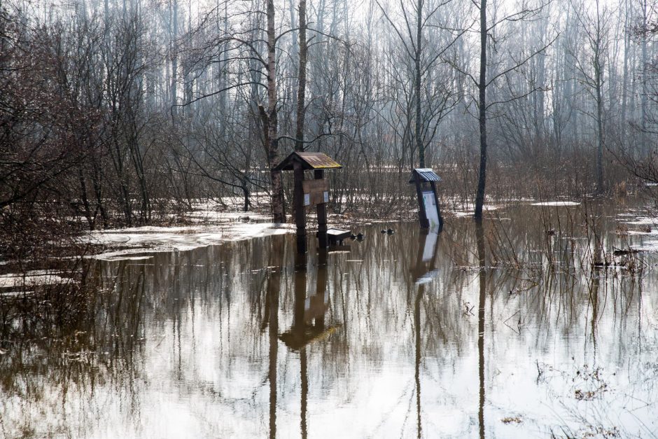 Po lietuviškąją Veneciją – baidare