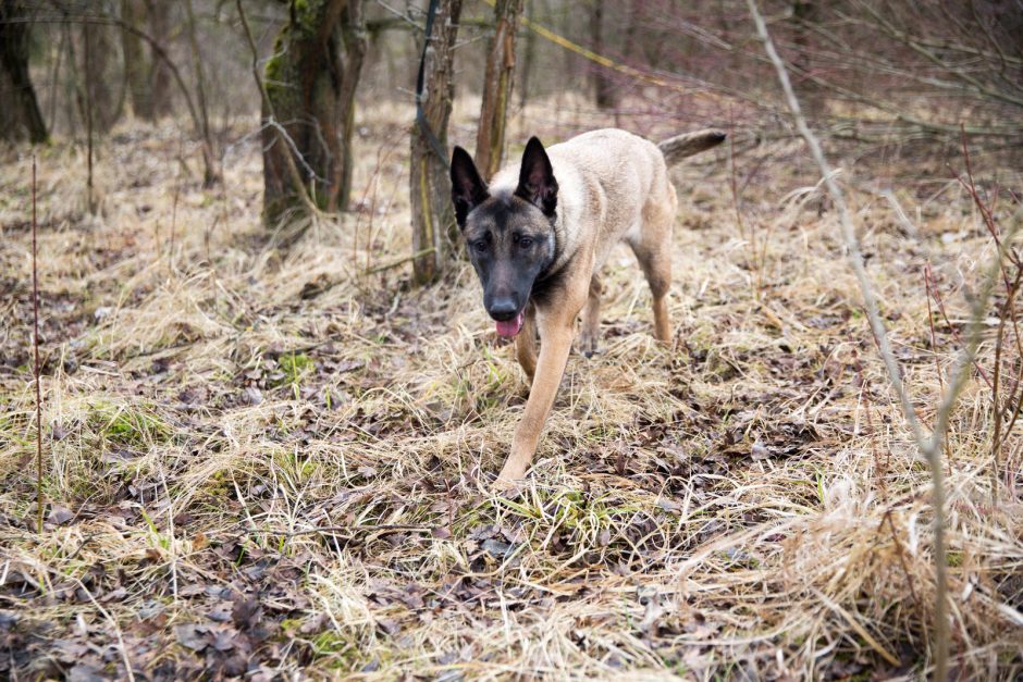 Talka Kauno VI forte: darbavosi ir vaikai