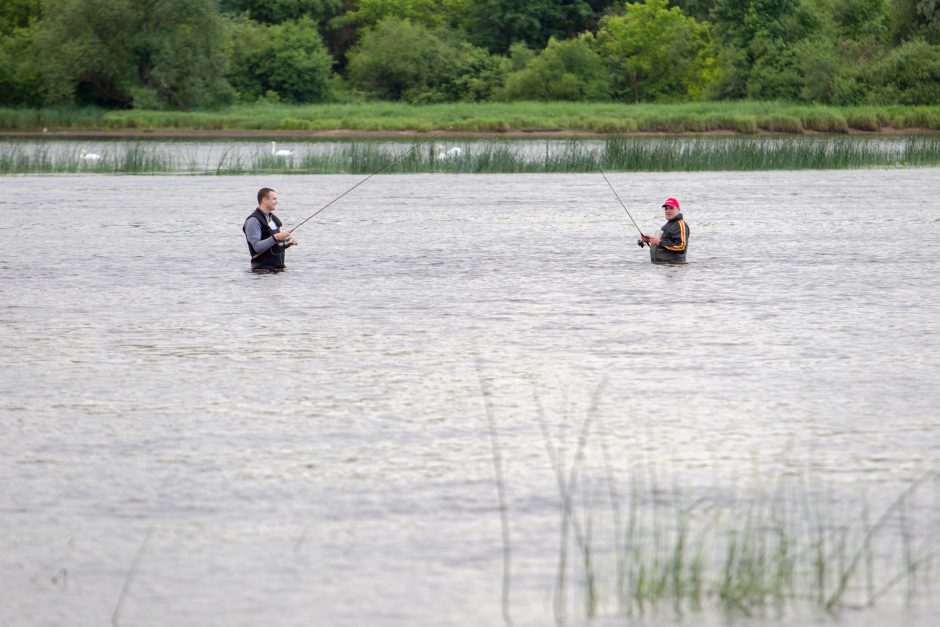 Nemuną skrodė baidarių žygis per vakarėjantį Kauną