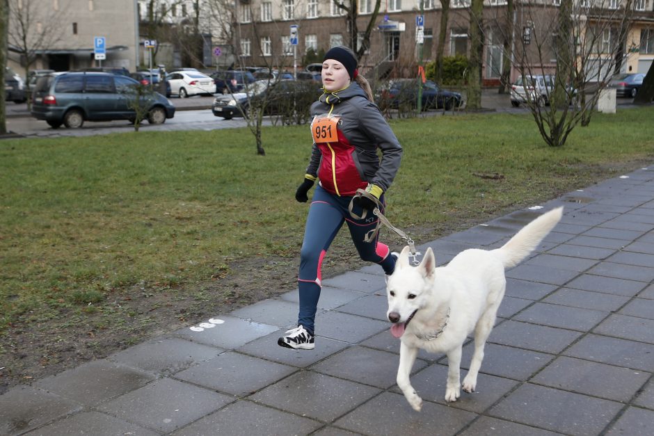 Klaipėdoje linksmo kalėdinio bėgimo dalyviai nepamiršo tauraus tikslo