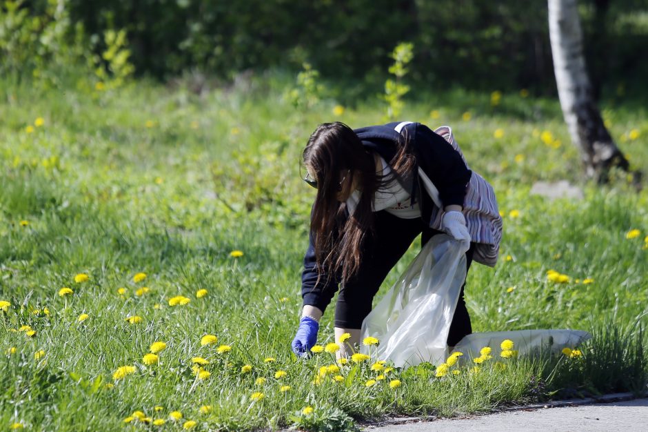 Dangės švarinimo akcija: narai ištraukė krūvą padangų