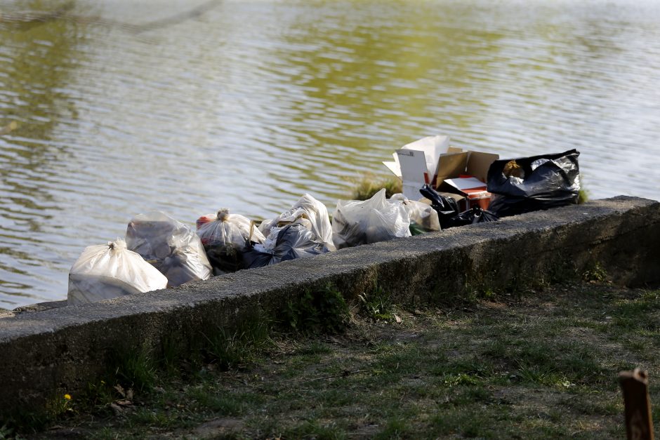 Dangės švarinimo akcija: narai ištraukė krūvą padangų