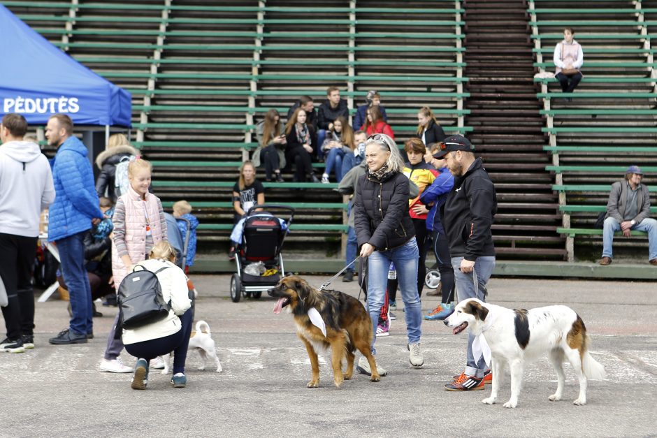 Klaipėdiečiai su augintiniais bėgo per liūtį