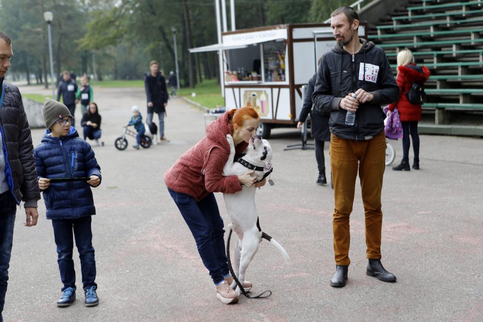 Klaipėdiečiai su augintiniais bėgo per liūtį