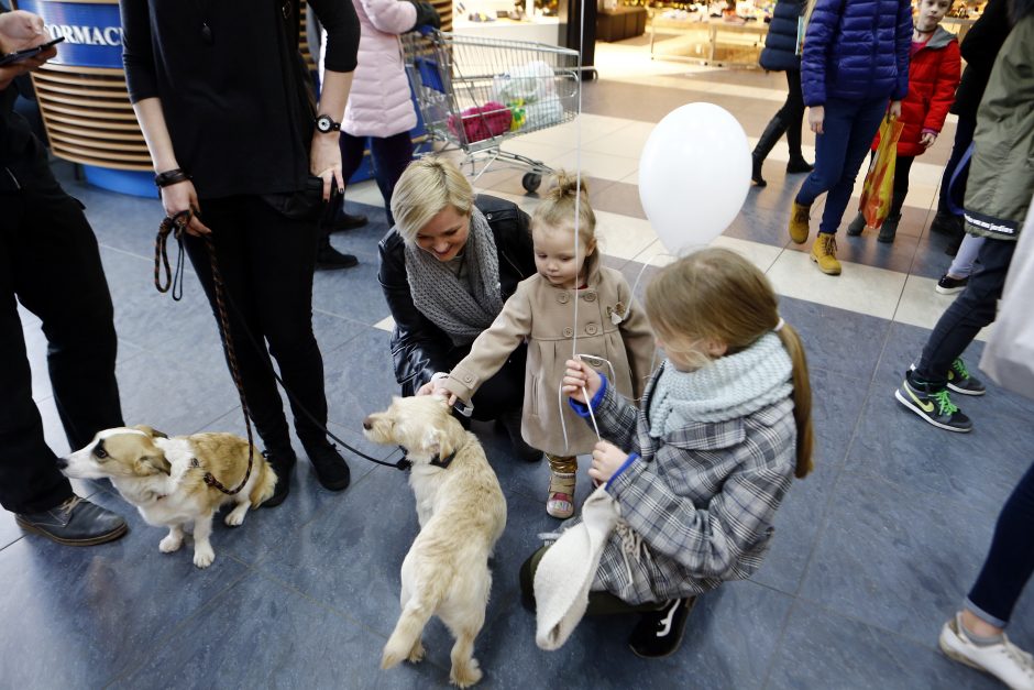 Beglobiams gyvūnams – nauja viltis