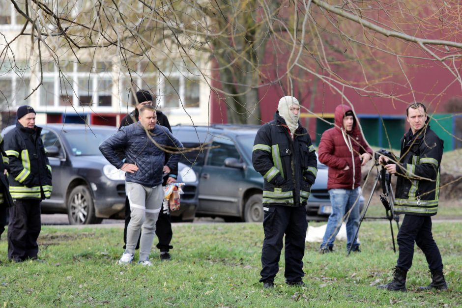 Trūko kantrybė: susivieniję klaipėdiečiai gelbėjo gulbę