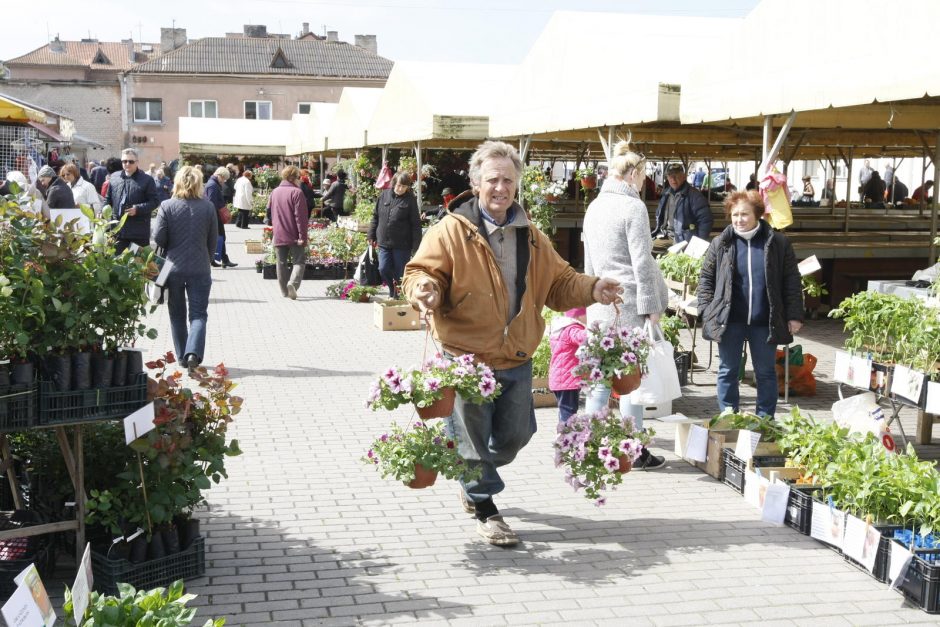 Turgavietėje – pavasario gėrybės