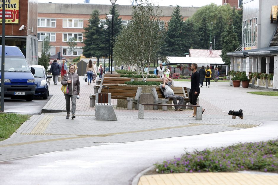 Įvertino atnaujintą Gedminų taką