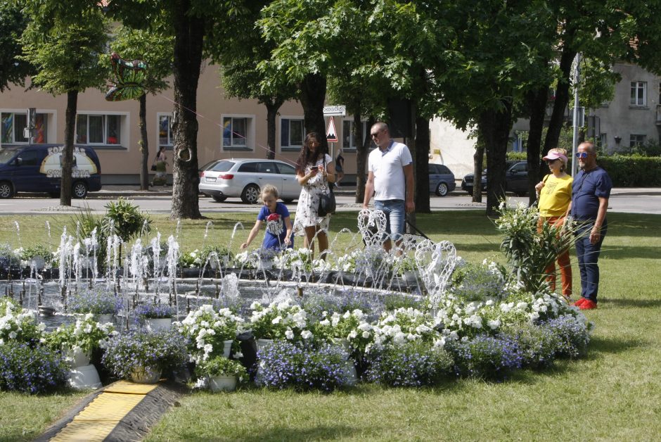 Kretingos miesto šventę vainikuos įspūdingi fejerverkai