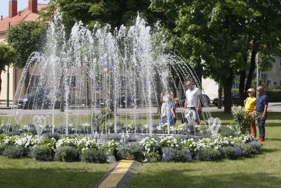 Kretingos miesto šventę vainikuos įspūdingi fejerverkai