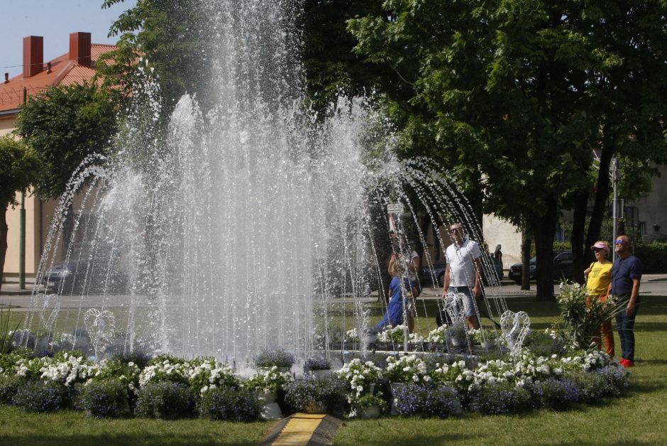 Kretingos miesto šventę vainikuos įspūdingi fejerverkai