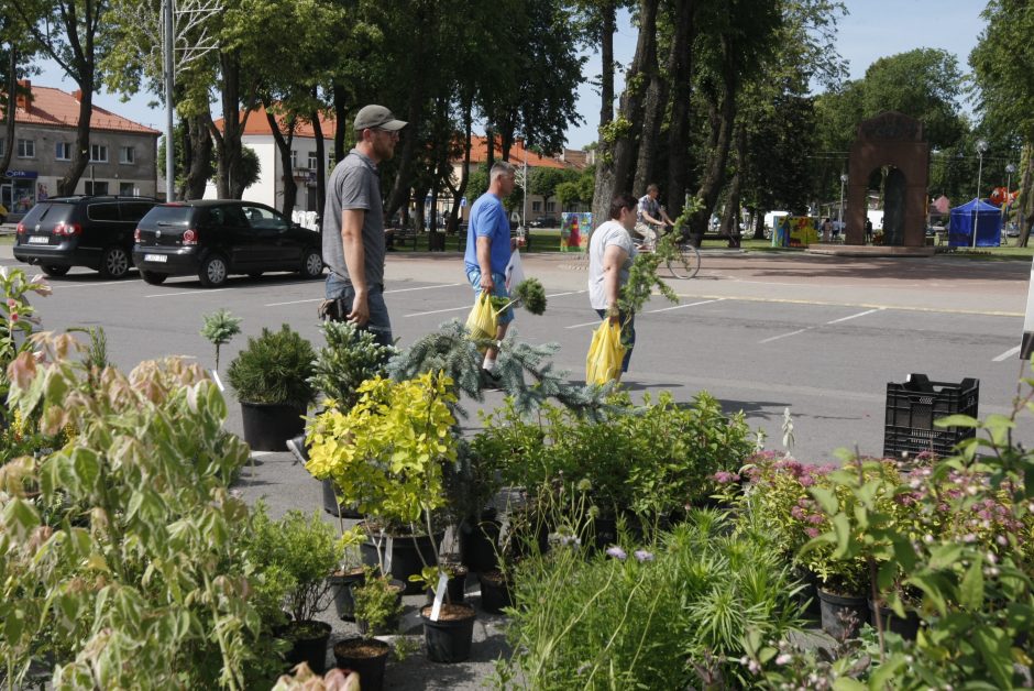 Kretingos miesto šventę vainikuos įspūdingi fejerverkai