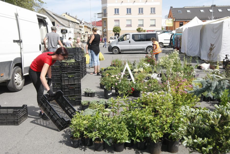 Kretingos miesto šventę vainikuos įspūdingi fejerverkai