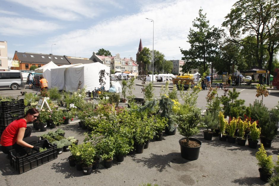 Kretingos miesto šventę vainikuos įspūdingi fejerverkai