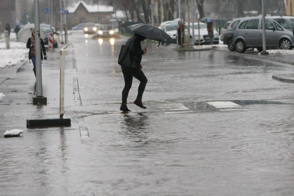 Klaipėdai – tvano pamokos