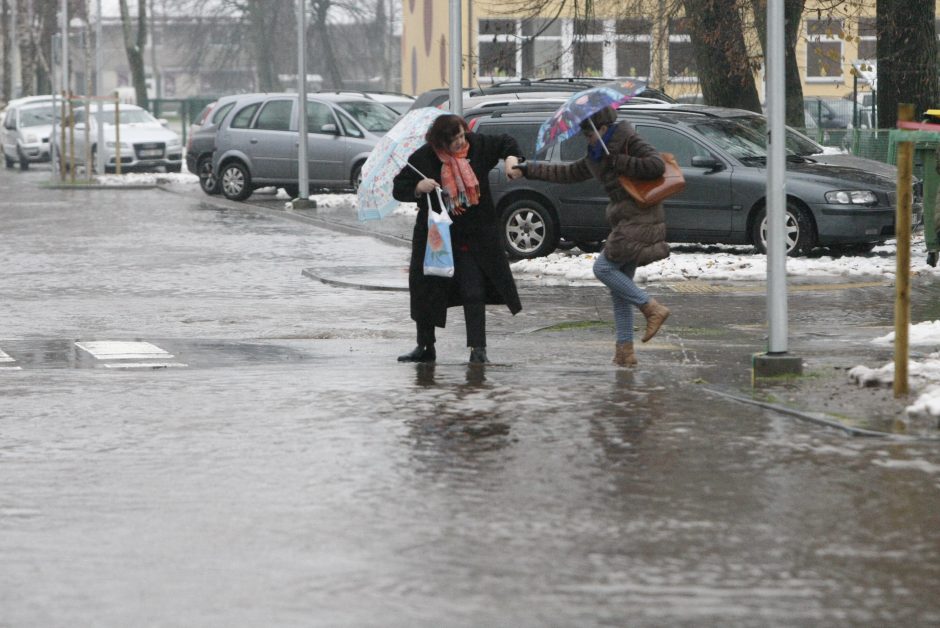 Klaipėdai – tvano pamokos