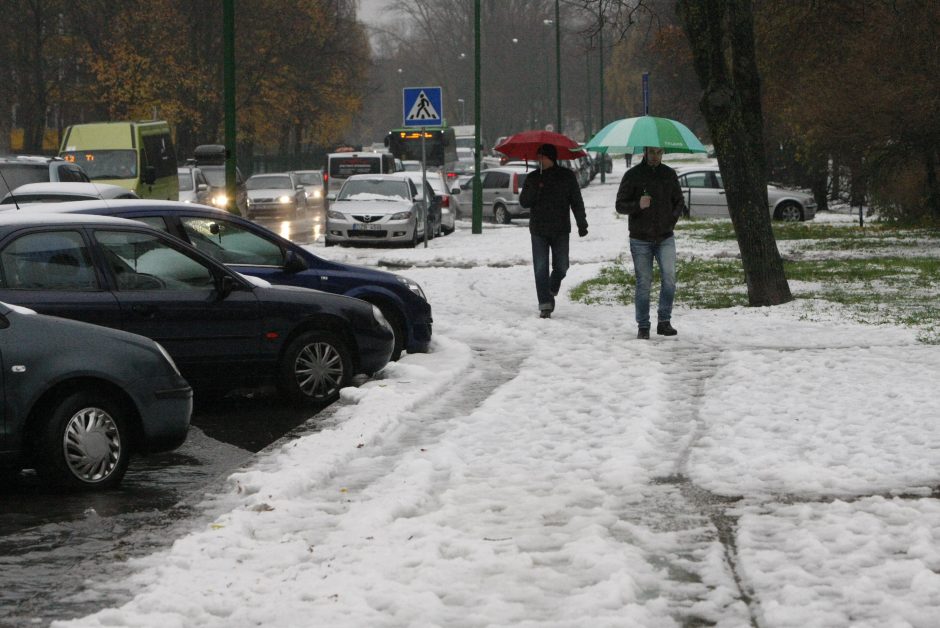 Klaipėdai – tvano pamokos