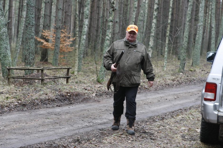 Girulių miškuose šernai pergudravo medžiotojus