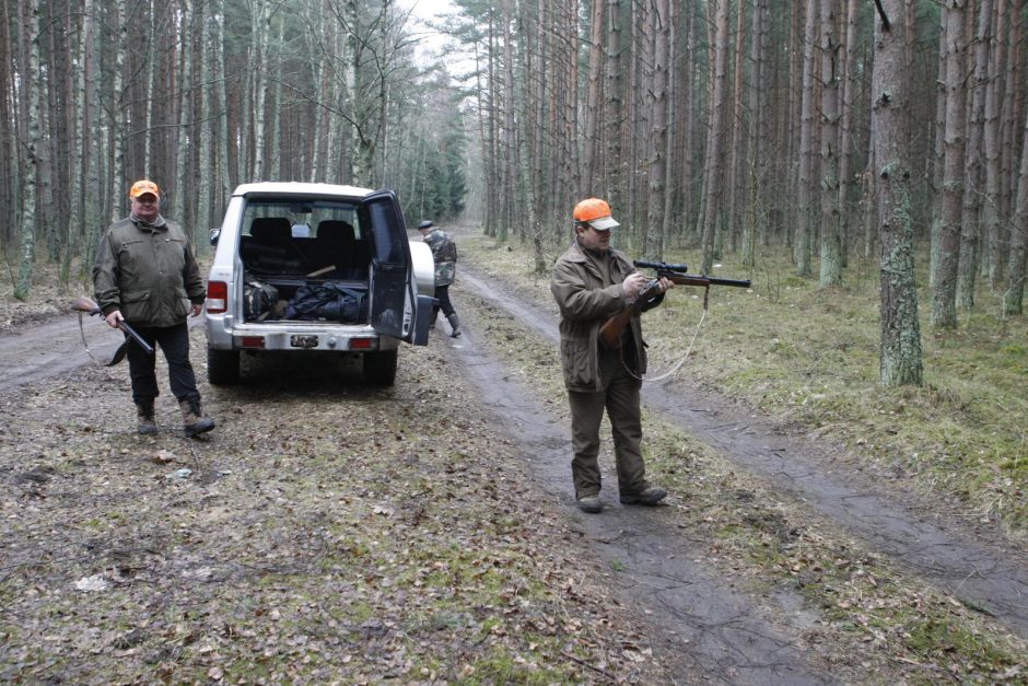 Girulių miškuose šernai pergudravo medžiotojus