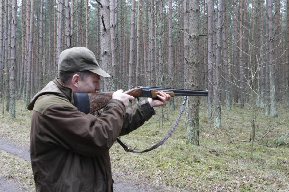 Girulių miškuose šernai pergudravo medžiotojus