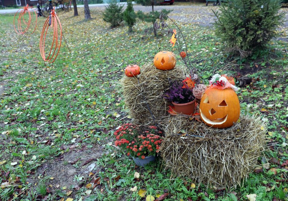 Pabiro moliūgai: mano, kad naujos tradicijos nieko nemenkina