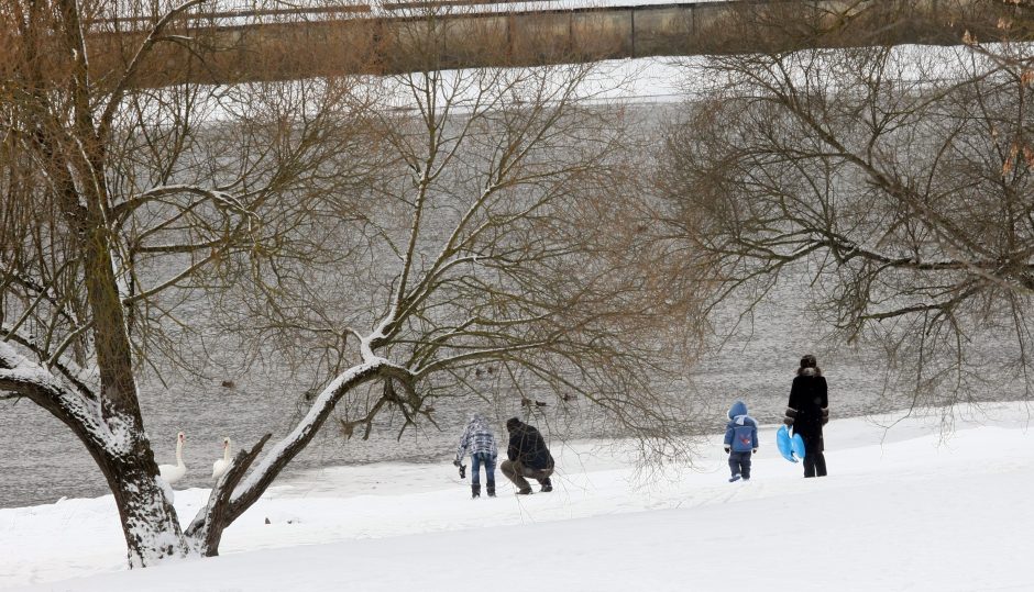 Aktyvūs kauniečiai: žiemai priekaištų neturime