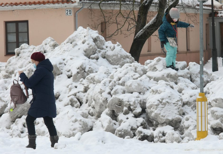 Aktyvūs kauniečiai: žiemai priekaištų neturime