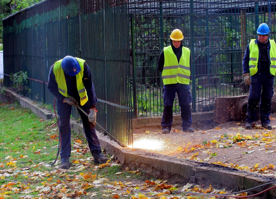 Zoologijos sodo rekonstrukcija: išgriauti voljerai, statybų pradžia ir atidarymo nuotaikos