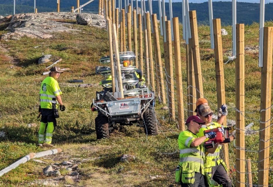 Norvegija pasienyje su Rusija atstato tvorą: nori sustabdyti šiaurinių elnių perėjimus