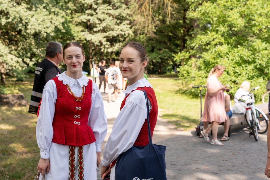 Šimtmečio šventė: minios žmonių traukia į Dainų slėnį