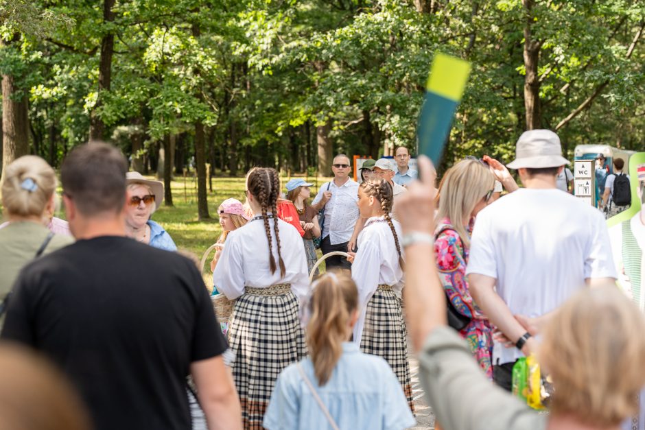 Šimtmečio šventė: minios žmonių traukia į Dainų slėnį