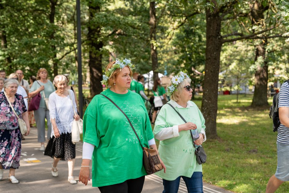 Šimtmečio šventė: minios žmonių traukia į Dainų slėnį