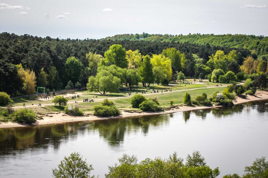 Panemunės šilą okupavo sportuojantis jaunimas