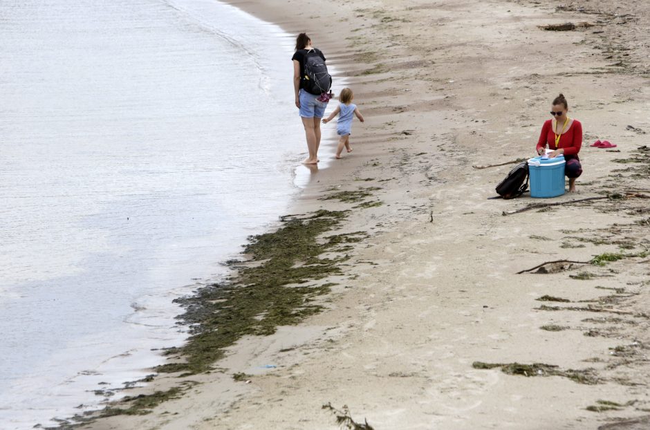 Visi keliai veda į pajūrį: ramina, kad vanduo yra švarus