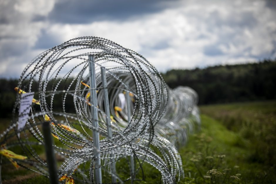 Koncertinos vagystės atomazga: žala atlyginta