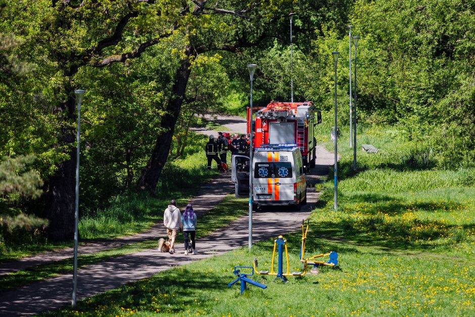 Sostinės tarnybas ant kojų sulėkė grėsmingas pranešimas: nuo tilto nukrito moteris