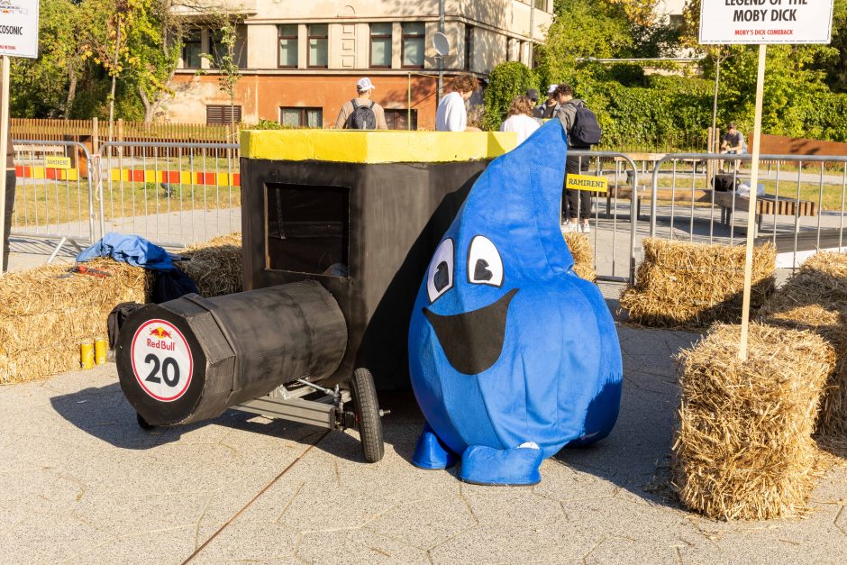 „Jabadabadū“ nuo kalno: muilinių lenktynėse – humoras ir kūrybiškumas