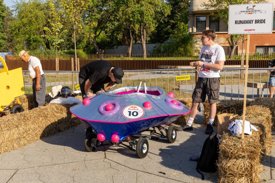 „Jabadabadū“ nuo kalno: muilinių lenktynėse – humoras ir kūrybiškumas